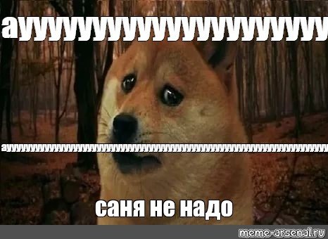 Грустный песик Мем