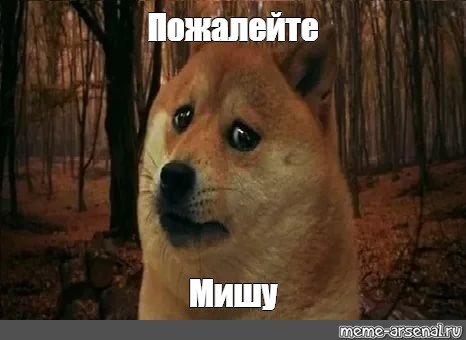 Грустный пес Мем