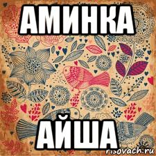 Шутка про Аишу