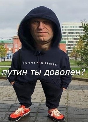 Навальный ты доволен Путин