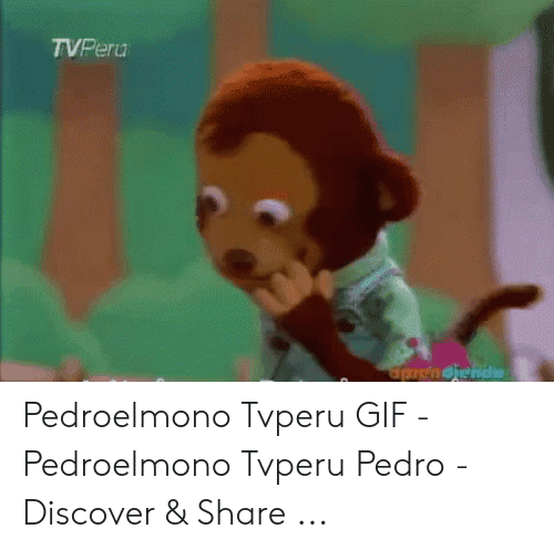 Обезьяна Педро