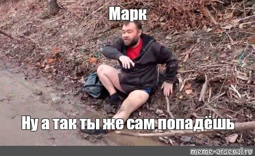 Stray228 крыса