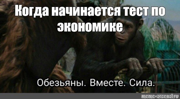 Обезьяны вместе сила