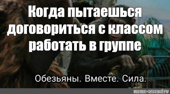 Обезьяны вместе сила