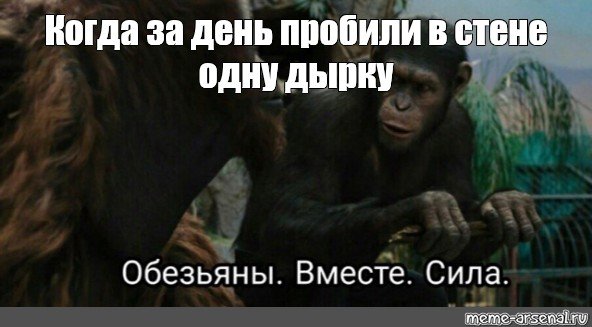 Обезьяны вместе сила