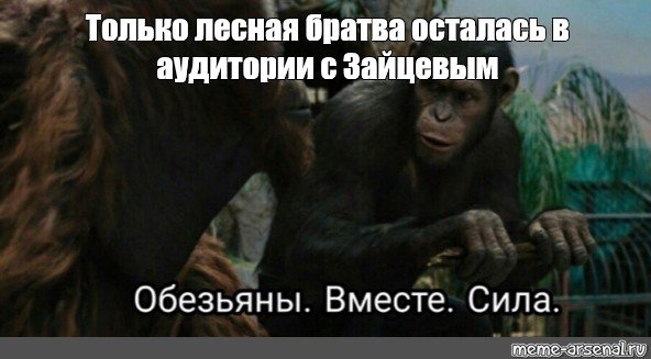Обезьяны вместе сила