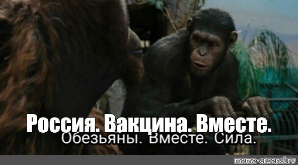 Планета обезьян обезьяны вместе сила