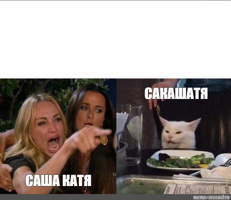 Спорящие коты мем. Девушки орут на кота. Мем с котом и девушками. Мемы с котом за столом и девушками. Мем кот за столом и две женщины.