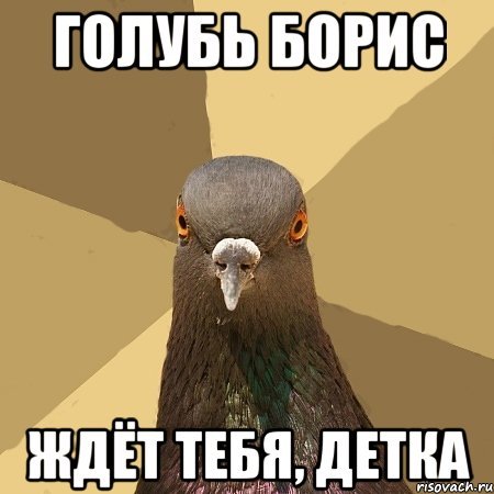 Голубь Борис