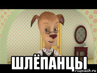 Шлёпанцы Мем Барбоскины