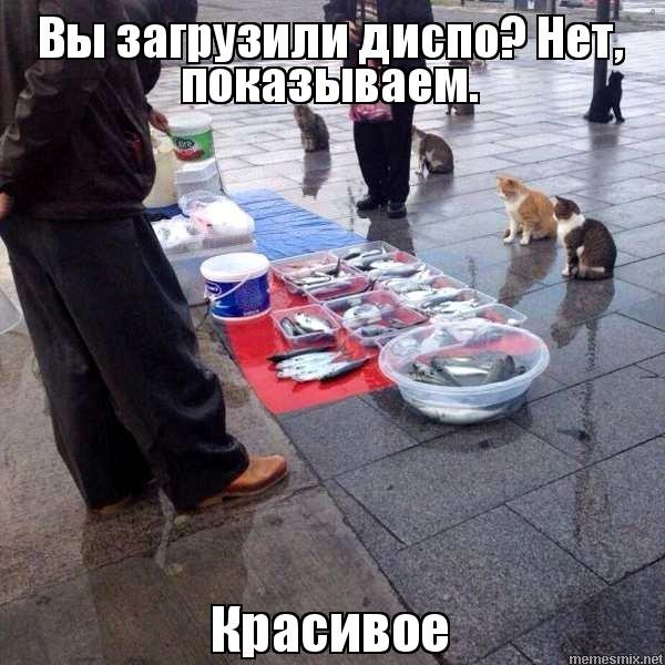 Мем вы продаете продаете Рыбов