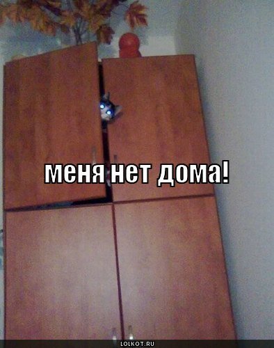 Шкаф Мем