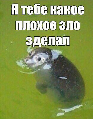 Я тебе кпкте плохре хло сдклво
