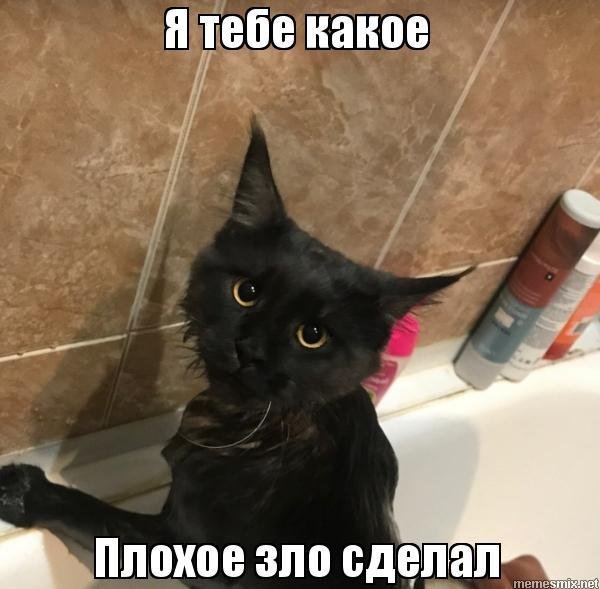 Плачущий кот Мем