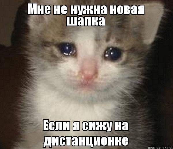 Какое зло я тебе сделал