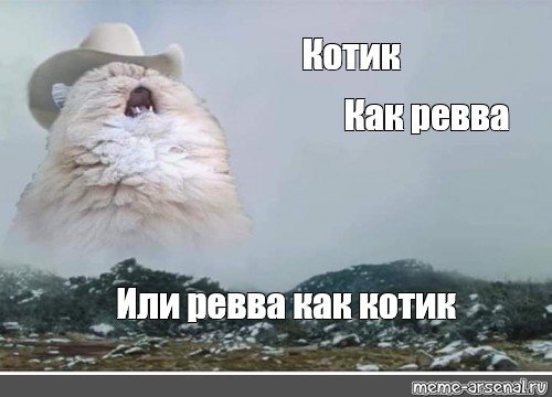 Экскьюзми Мем с котом