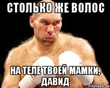 Давид дурак