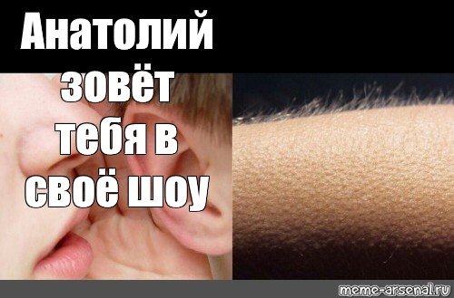 Смешные шутки про толика