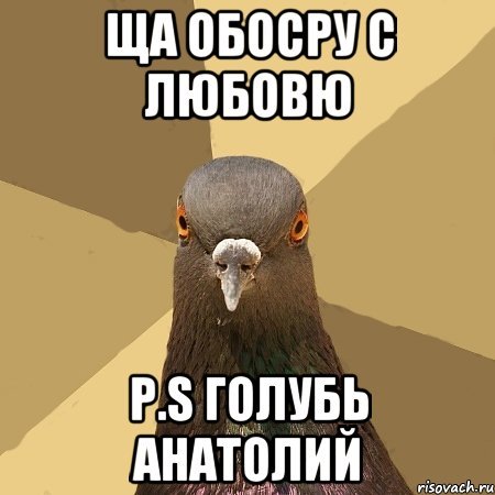 Мемы про Анатолия