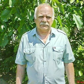 Шутки про Толю