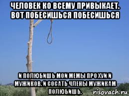 Человек привыкает ко всему