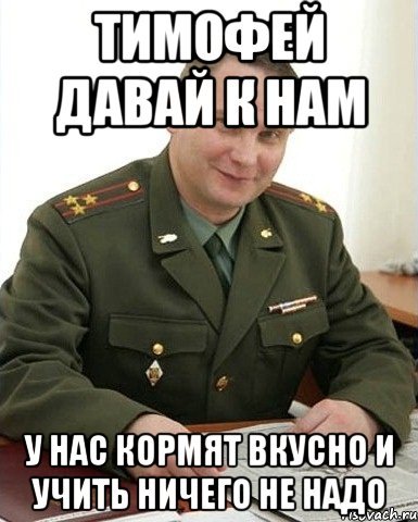 Шутки про тиму