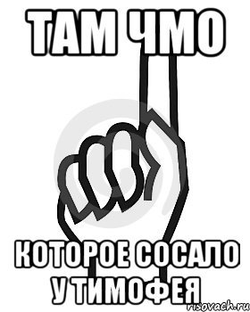 Шутки про тиму