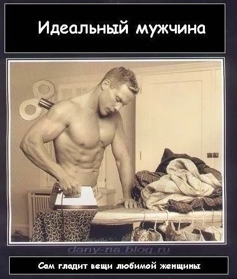 Идеальный муж
