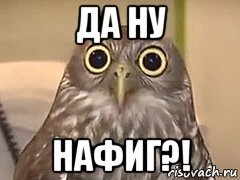 Да ну нафиг картинка