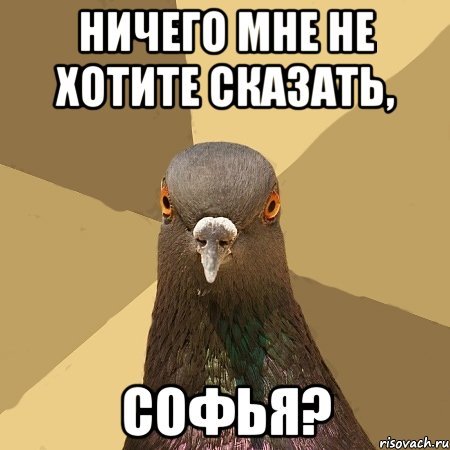Голубь лох