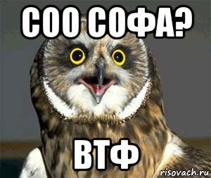 Шутки про софу