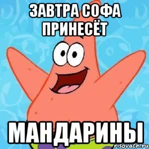Мёмы про софу