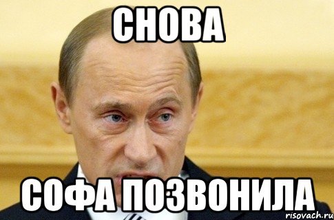 Мемы с именем софа