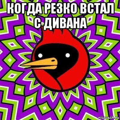 Омская птица мемы