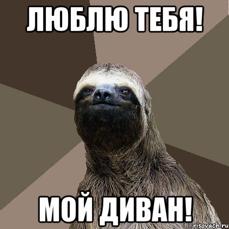Ленивец на диване