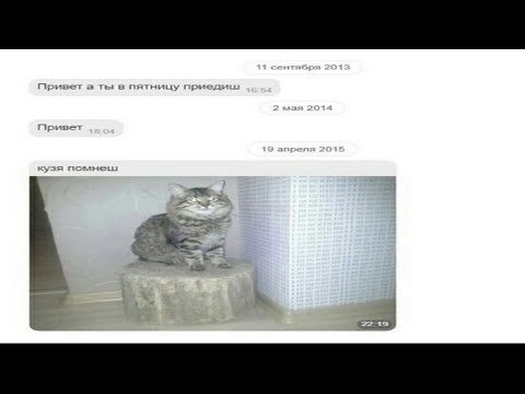 Кузя помнишь кот