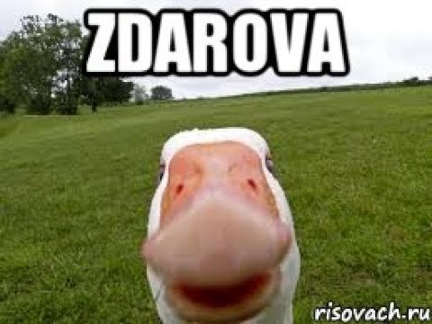 Здарова бандиты gif