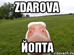 Здорово бандиты брат