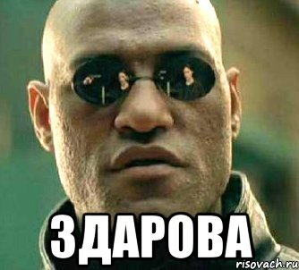 Здарова пидр