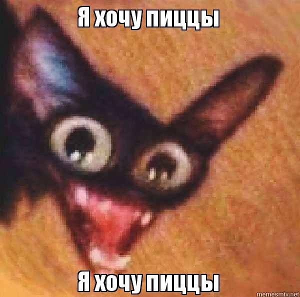 Хочу пиццу Мем с котом