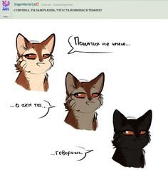 Кот в сапогах в реальной жизни