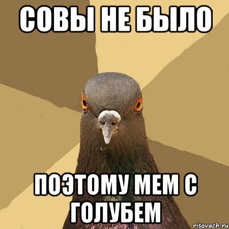 Мем про котов и сову