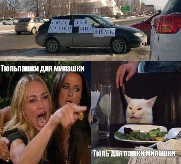 Мем с котом и двумя женщинами