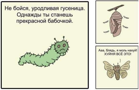 Гусеница Мем
