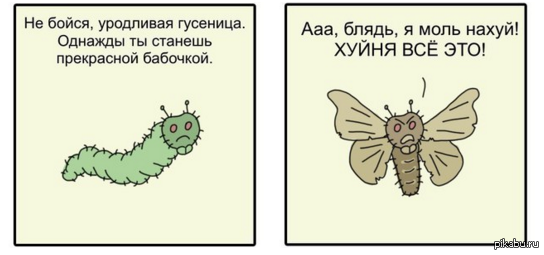Комикс про бабочку и гусеницу