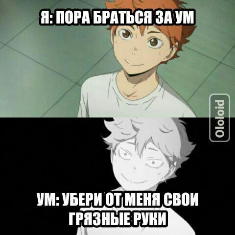 Волейбол мемы аниме Асахи