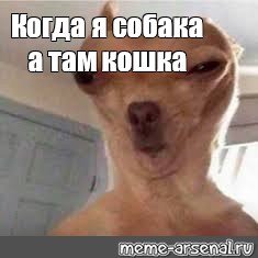 Смейся пес Мем