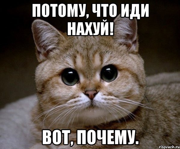 Потому что