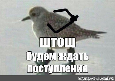 Чтож птица