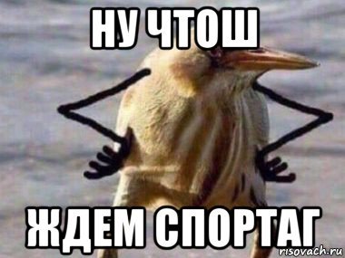 Ждущая птица Мем